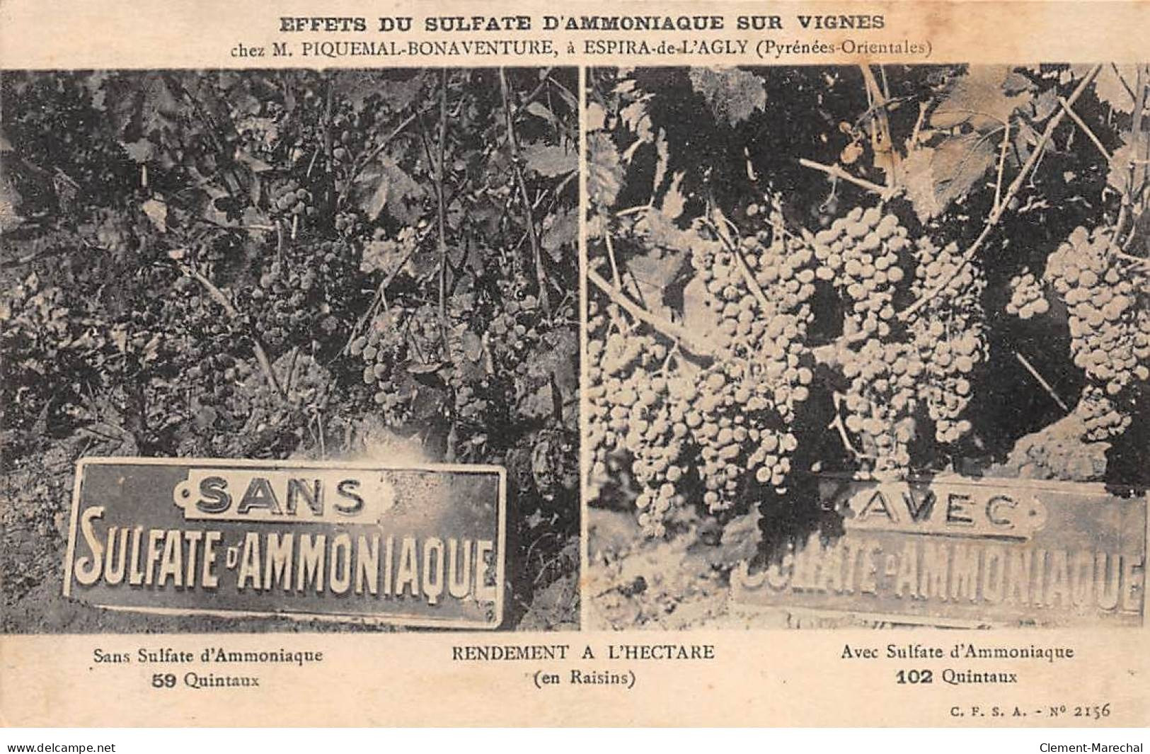 Effets Du Sulfate D'Ammoniaque Sur Vignes Chez M? Piquemal Bonaventure à ESPIRA DE L'AGLY - Très Bon état - Other & Unclassified