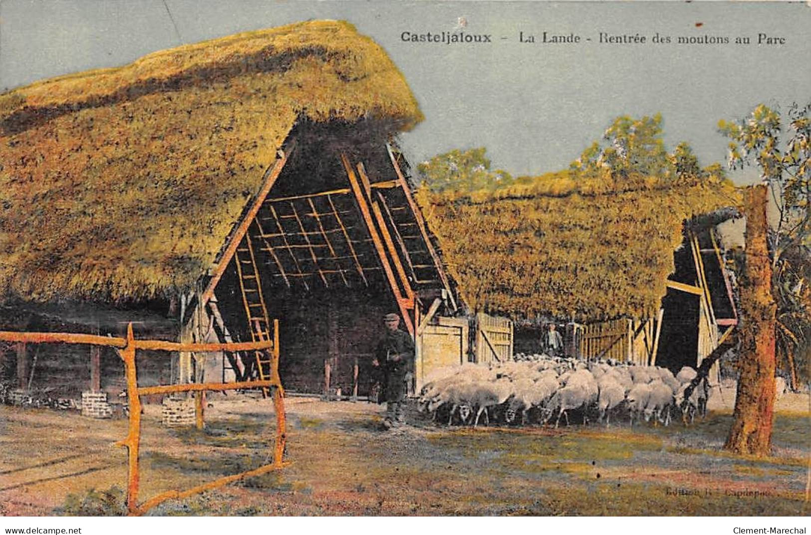 CASTELJALOUX - La Lande - Rentrée Des Moutons Au Parc - état - Casteljaloux