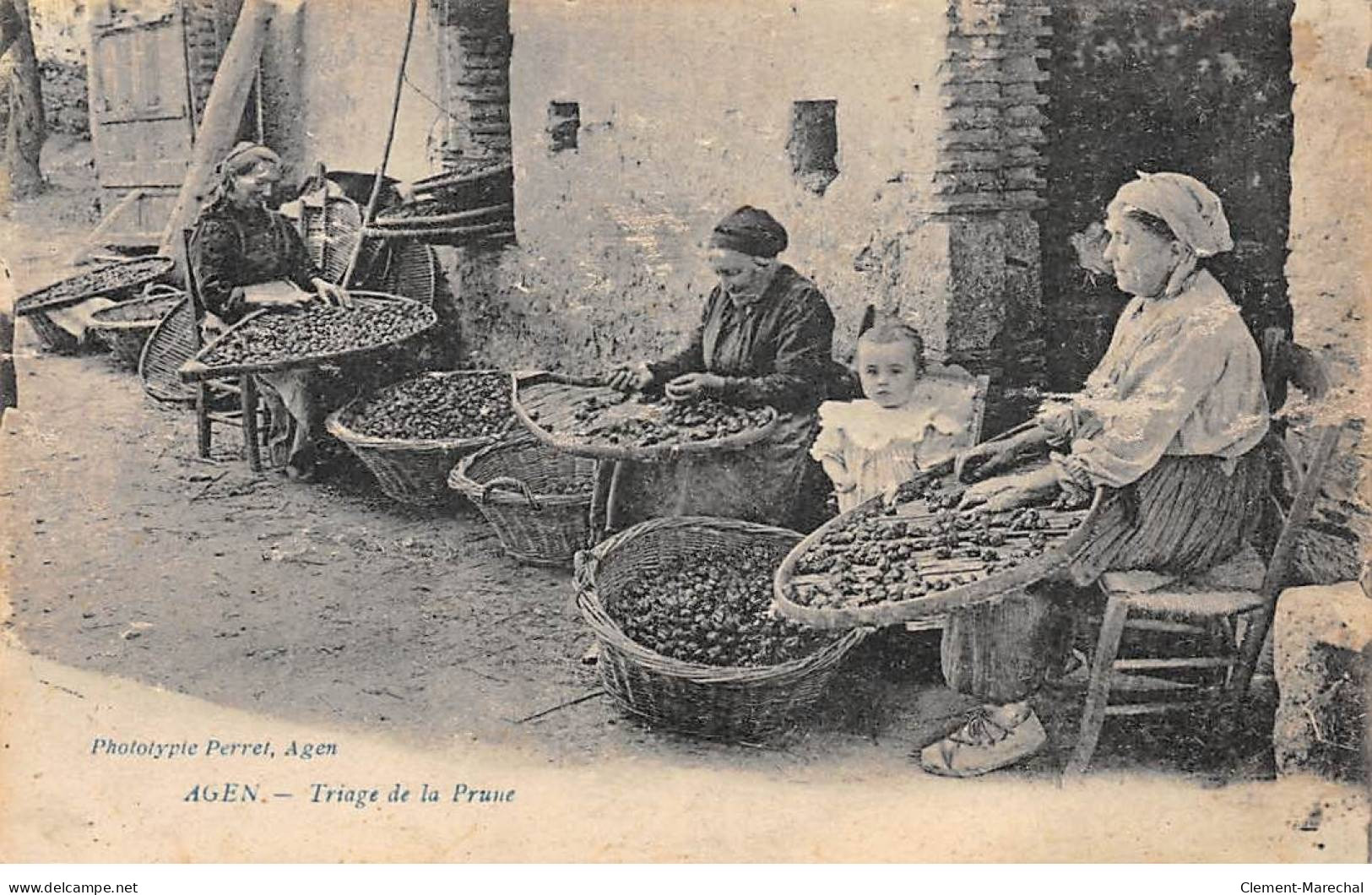 AGEN - Triage De La Prune - Très Bon état - Agen