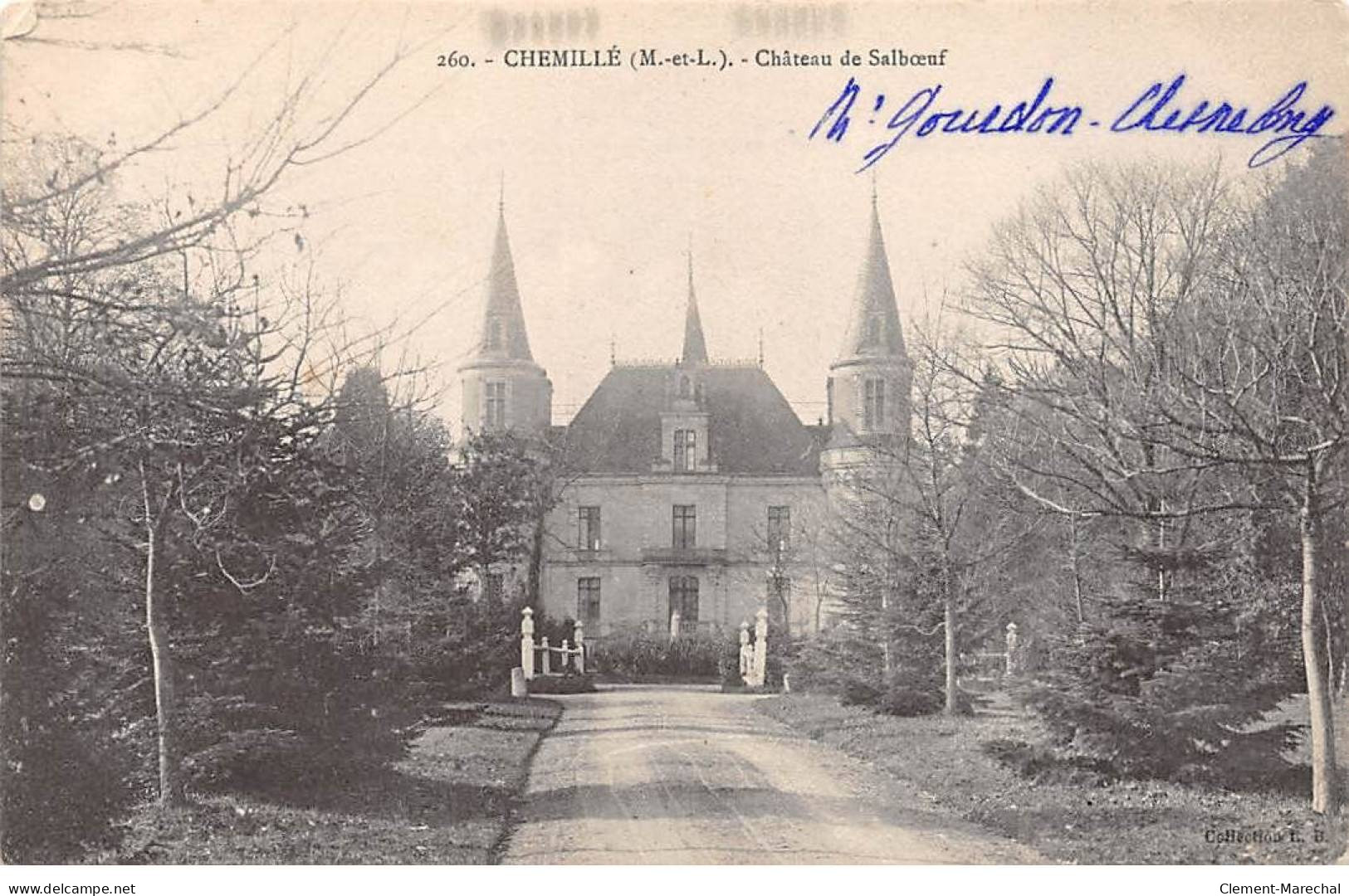 CHEMILLE - Château De Salboeuf - Très Bon état - Chemille