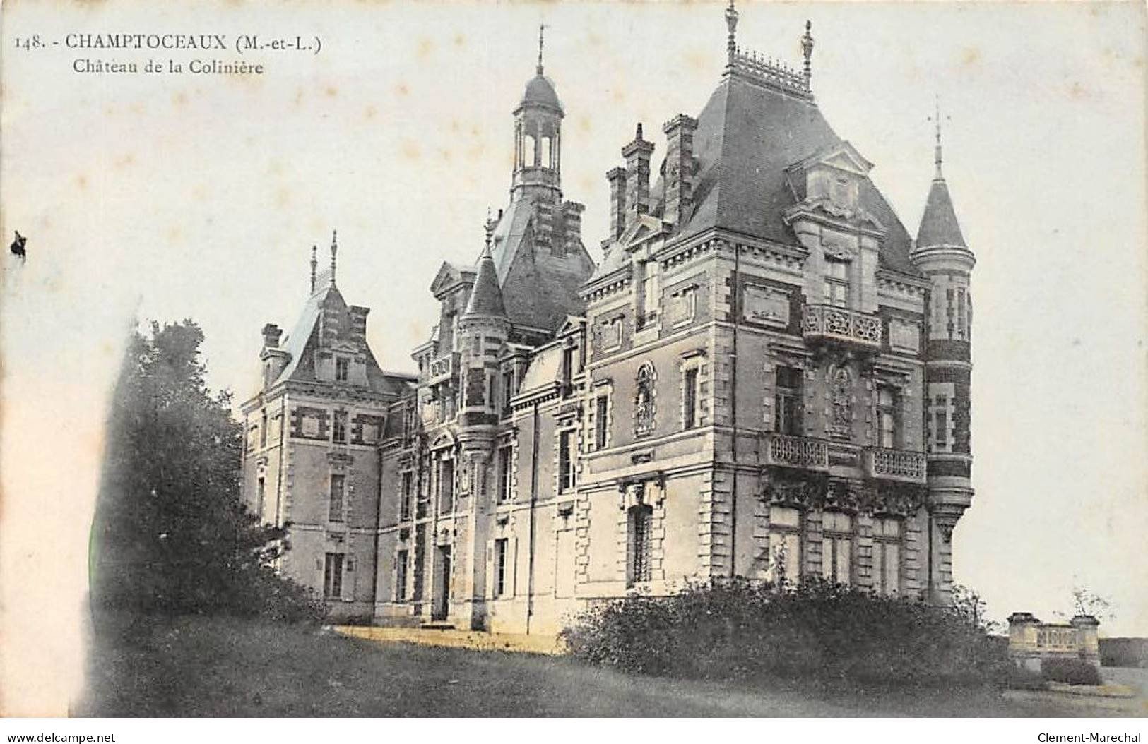 CHAMPTOCEAUX - Château De La Colinière - Très Bon état - Champtoceaux