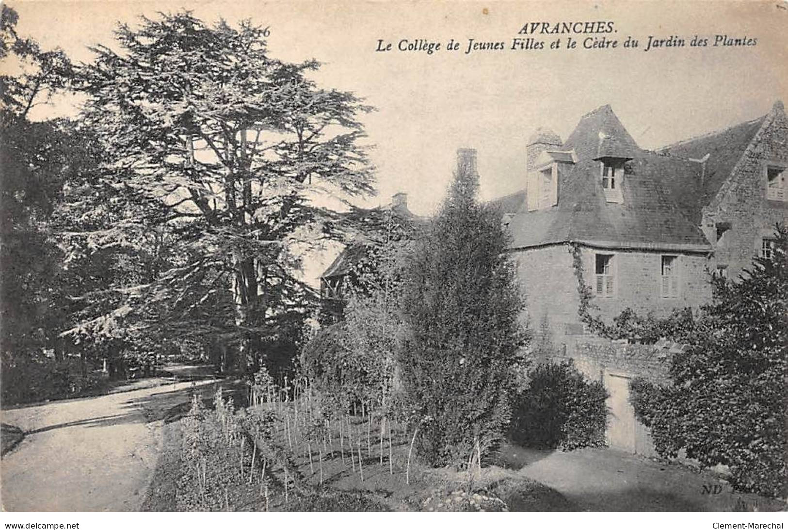 AVRANCHES - Le Collège De Jeunes Filles Et Le Cèdre Du Jardin Des Plantes - Très Bon état - Avranches