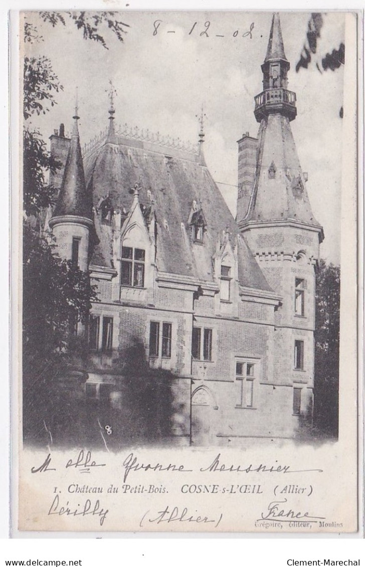 COSNE-sur-L'OEIL : Chateau Du Petit-bois - Tres Bon Etat - Altri & Non Classificati