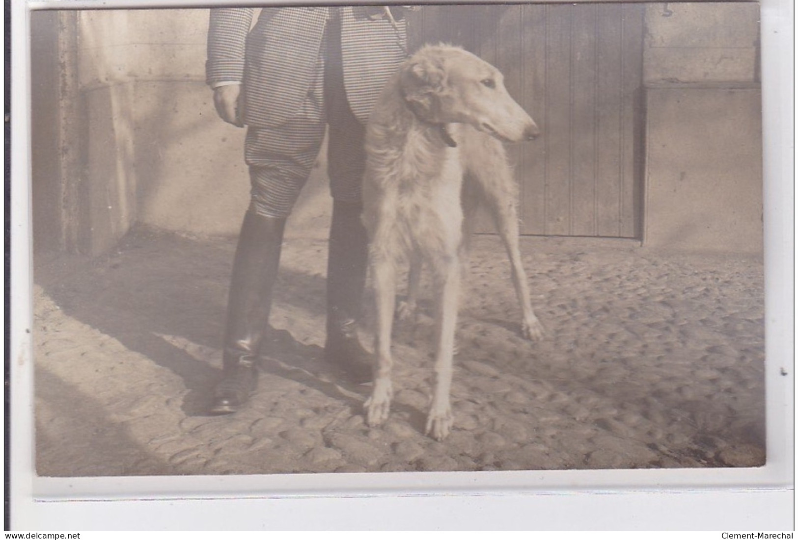 St-CYPRIEN : Carte Photo Chenil Du Domaine Des Capeillans Dressage Chiens Domaine Des Capeillans - Très Bon état - Saint Cyprien