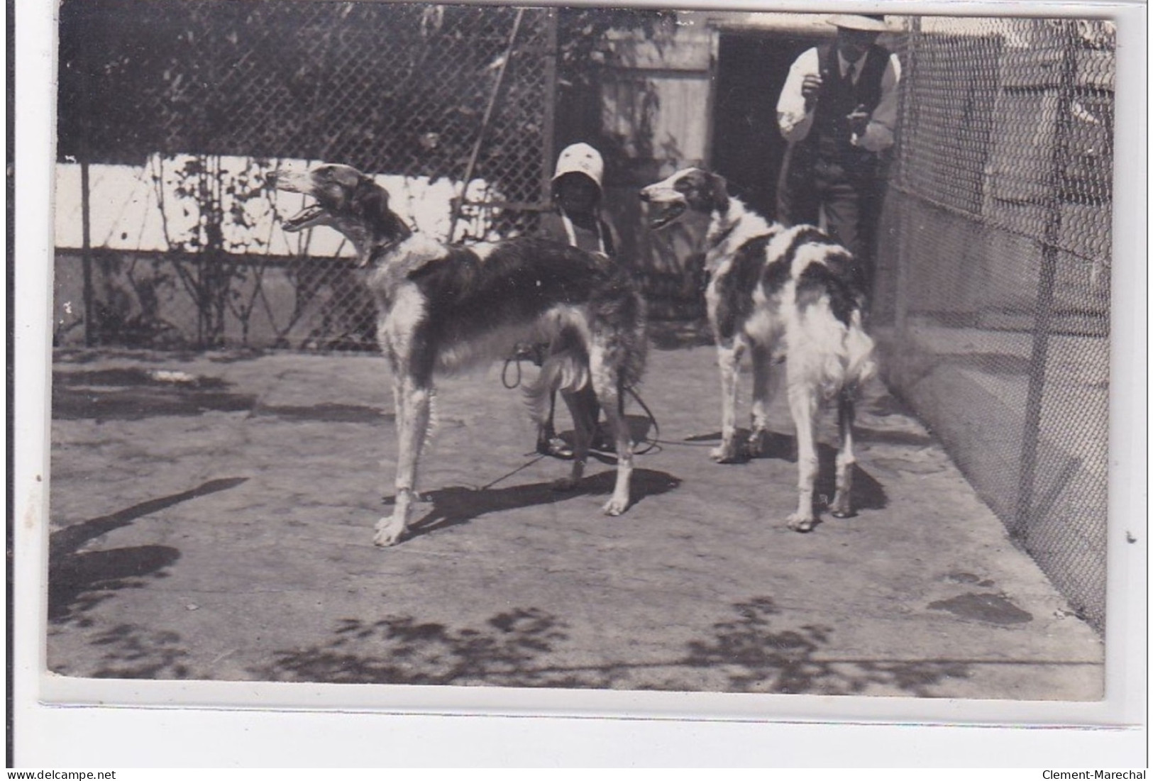 St-CYPRIEN : Carte Photo Chenil Du Domaine Des Capeillans Dressage Chiens Domaine Des Capeillans - Très Bon état - Saint Cyprien