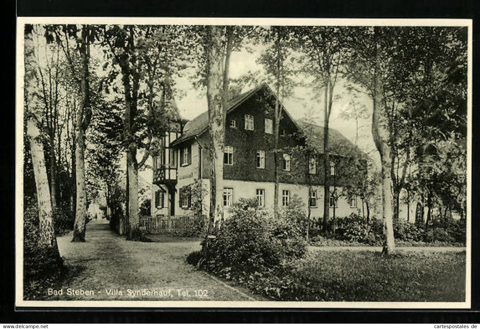 AK Bad Steben, Villa Synderhauf  - Bad Steben