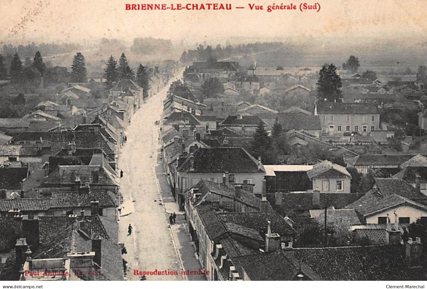 BRIENNE-le-CHATEAU : Vue Generale (sud) - Tres Bon Etat - Sonstige & Ohne Zuordnung