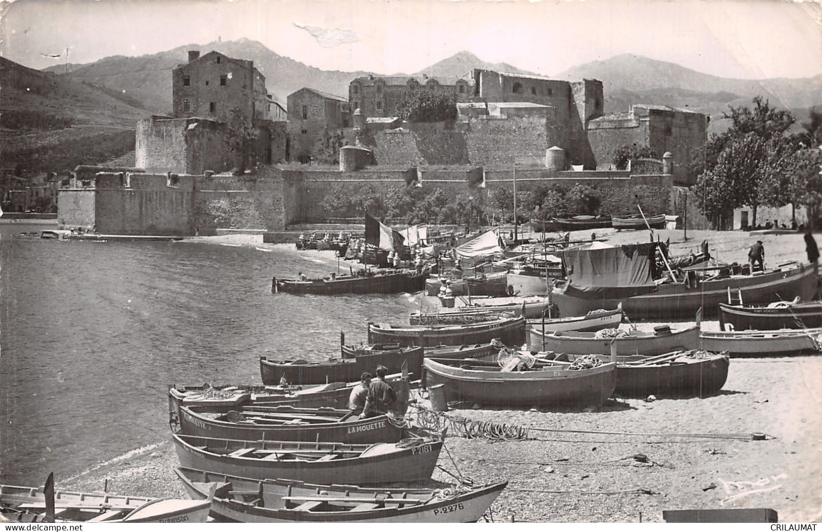 66-COLLIOURE-N°5148-C/0315 - Collioure