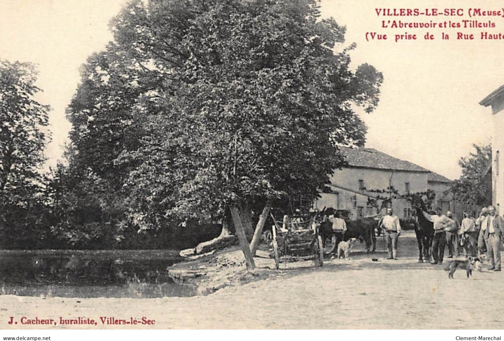 VILLERS-le-SEC : L'abreuvoir Et Les Tilleuls (vue Prise De La Rue Haute) - Tres Bon Etat - Other & Unclassified