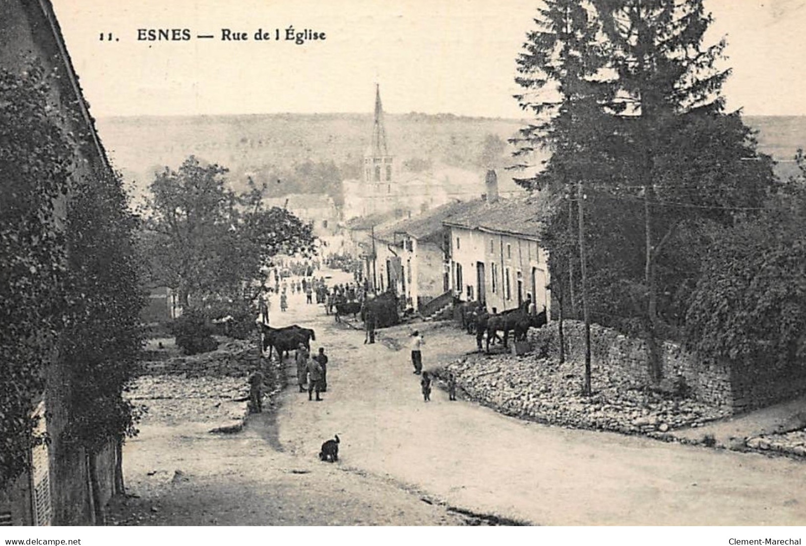 ESNES : Rue De L'eglise - Tres Bon Etat - Andere & Zonder Classificatie