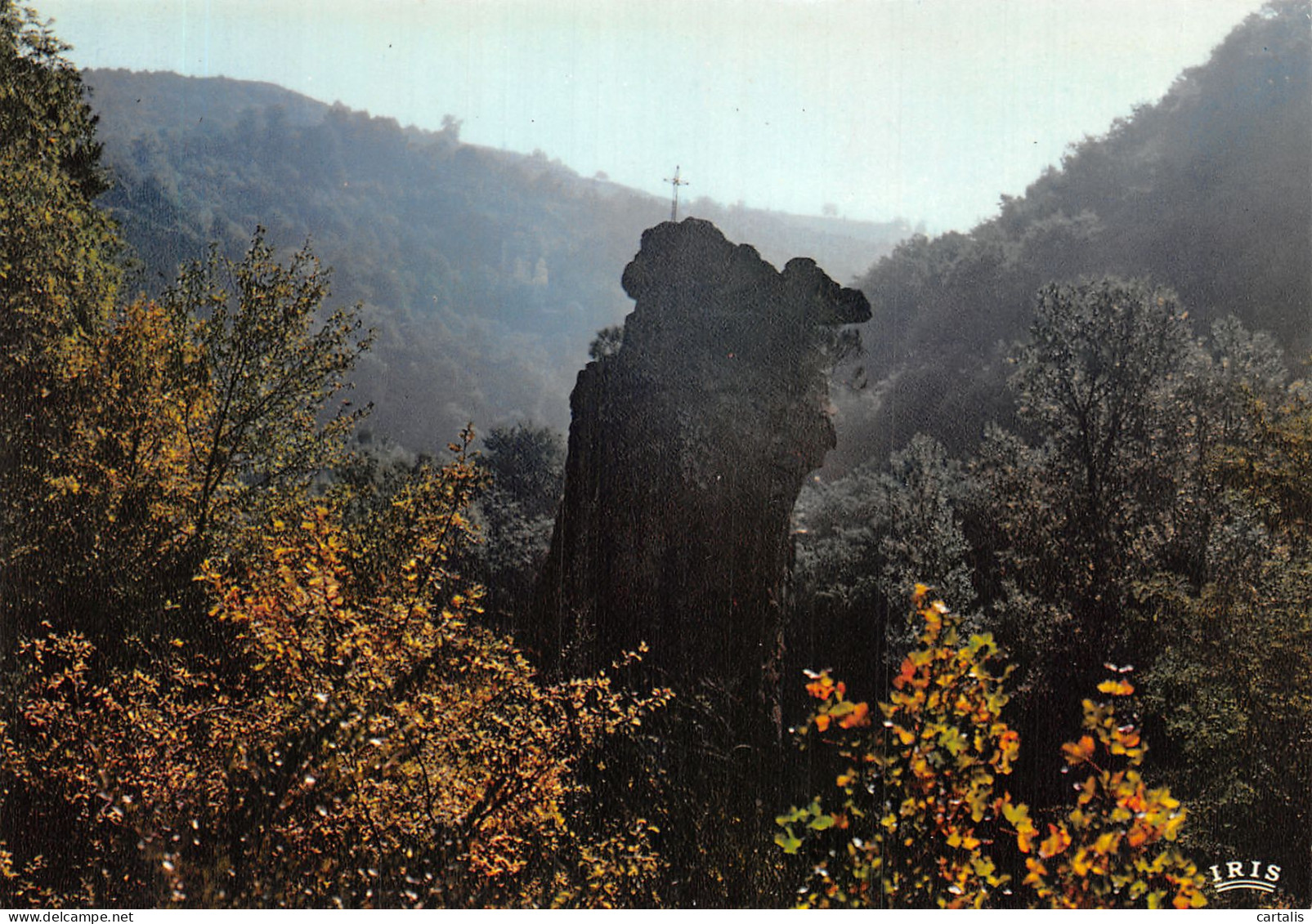 12-LE ROCHER DU DUC-N°4203-A/0275 - Sonstige & Ohne Zuordnung