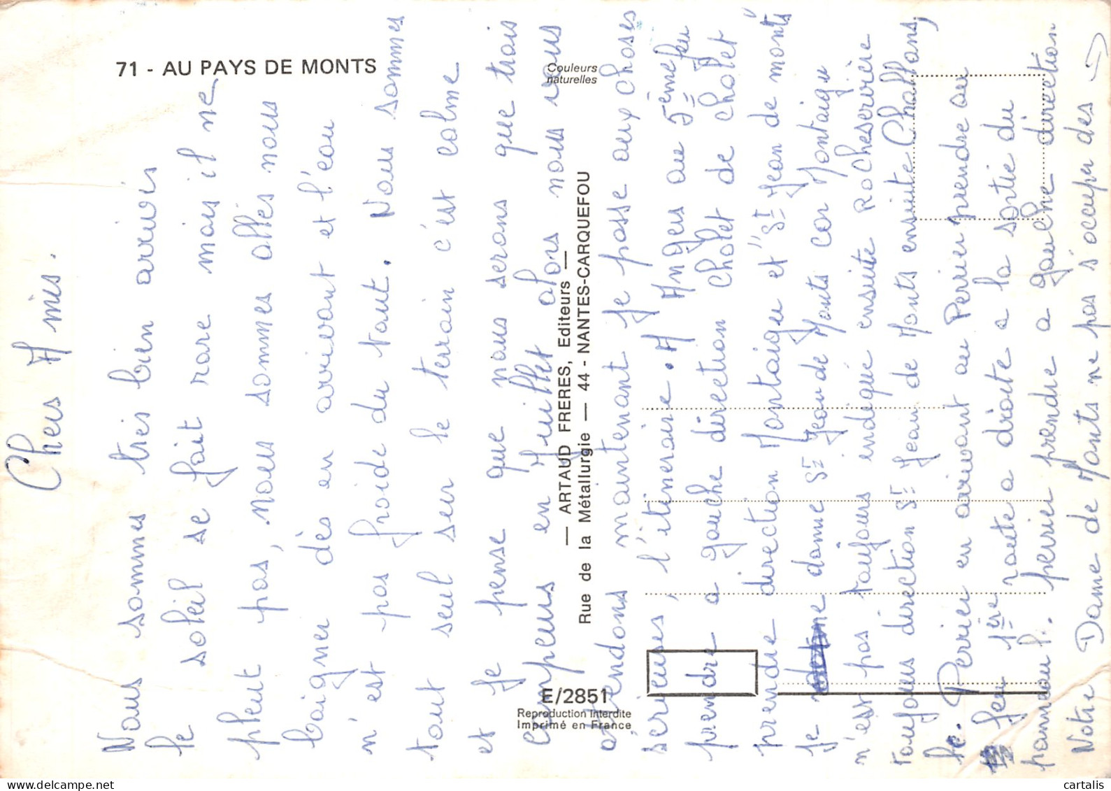 85-AU PAYS DE MONTS-N°4203-A/0195 - Other & Unclassified