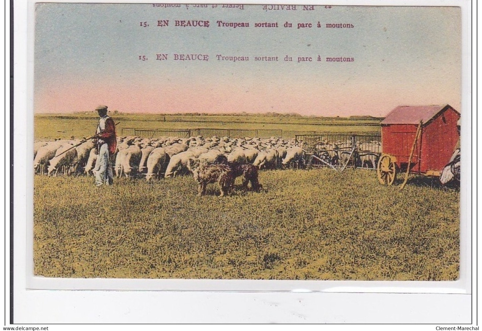 EN BEAUCE : Troupeau Sortant Du Parc A Moutons - Tres Bon Etat - Autres & Non Classés