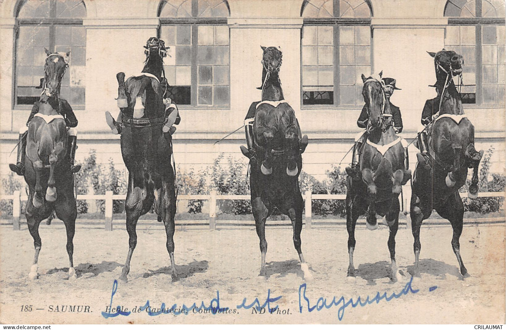 49-SAUMUR ECOLE DE CAVALERIE-N°5148-F/0335 - Saumur