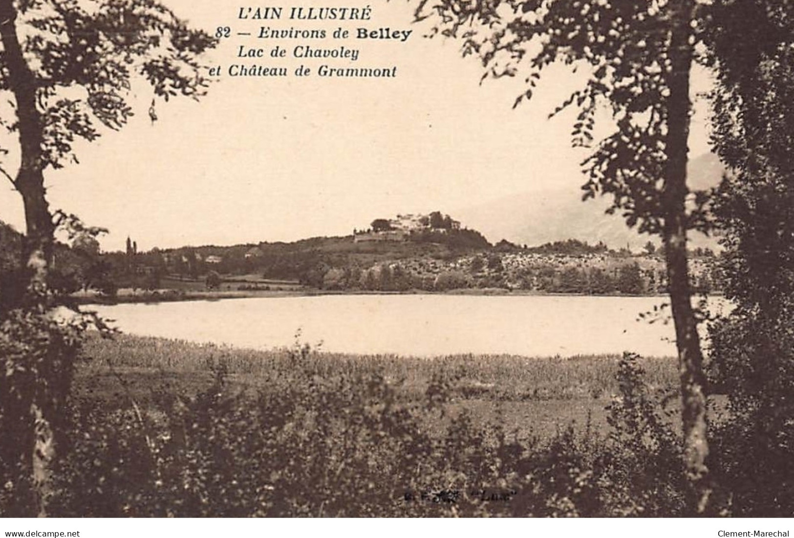 CHAVOLEY : Lac De Chavoley Et Chateau De Grammont - Tres Bon Etat - Ohne Zuordnung