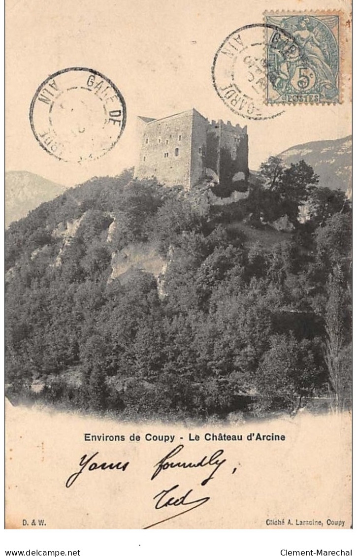 Env. COUPY : Le Chateau D'arcine - Etat - Gex