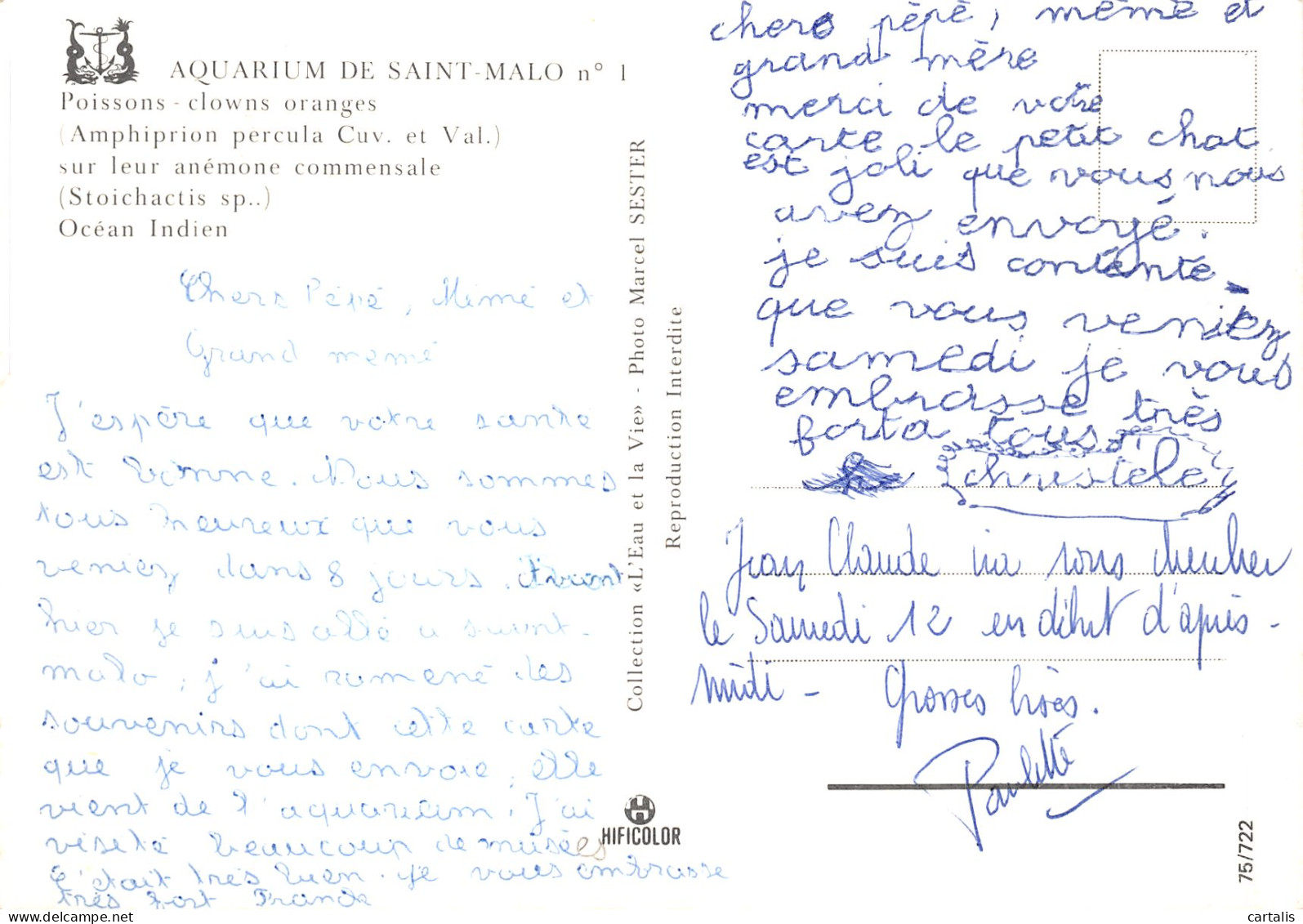 35-SAINT MALO-N°4203-D/0321 - Saint Malo