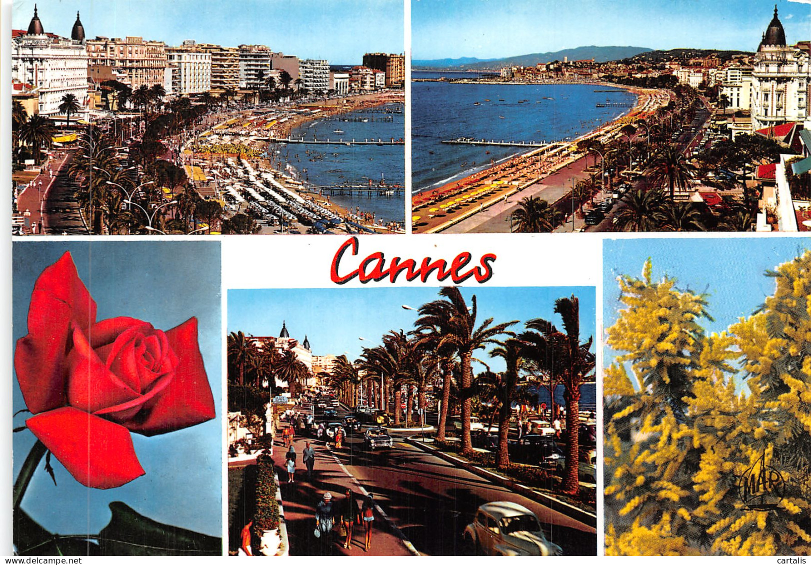 06-CANNES-N°4203-D/0283 - Cannes