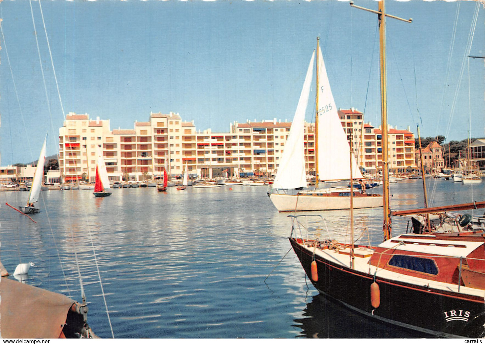 83-HYERES LES PALMIERS-N°4203-D/0235 - Hyeres