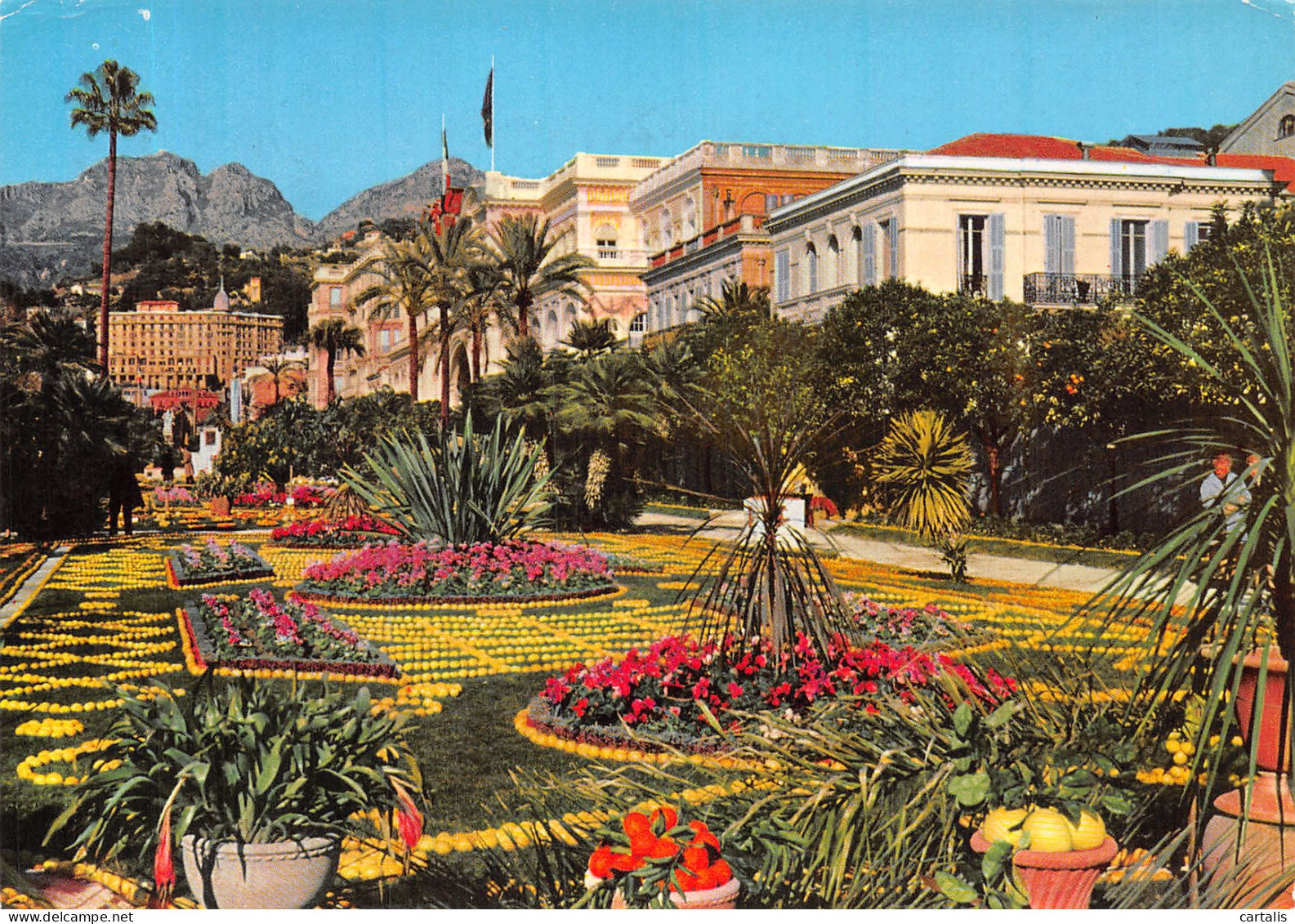 06-MENTON-N°4203-C/0391 - Menton