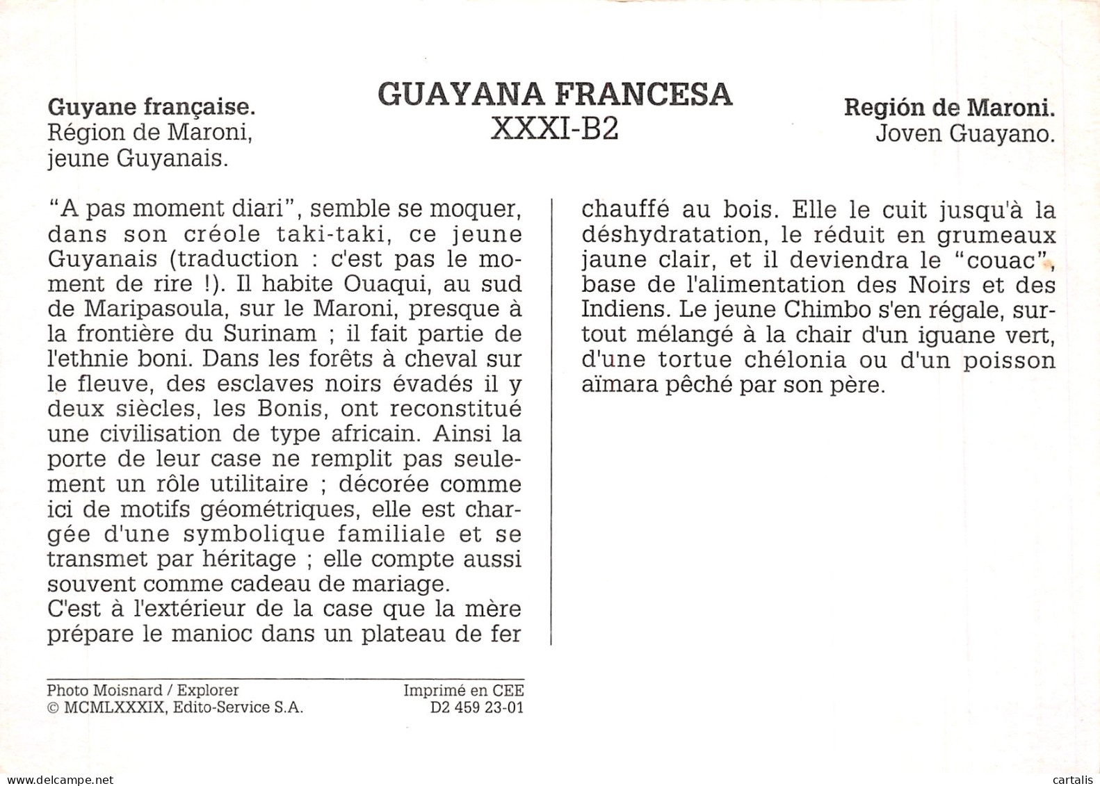 973-GUYANE FRANCAISE-N°4203-C/0265 - Sonstige & Ohne Zuordnung