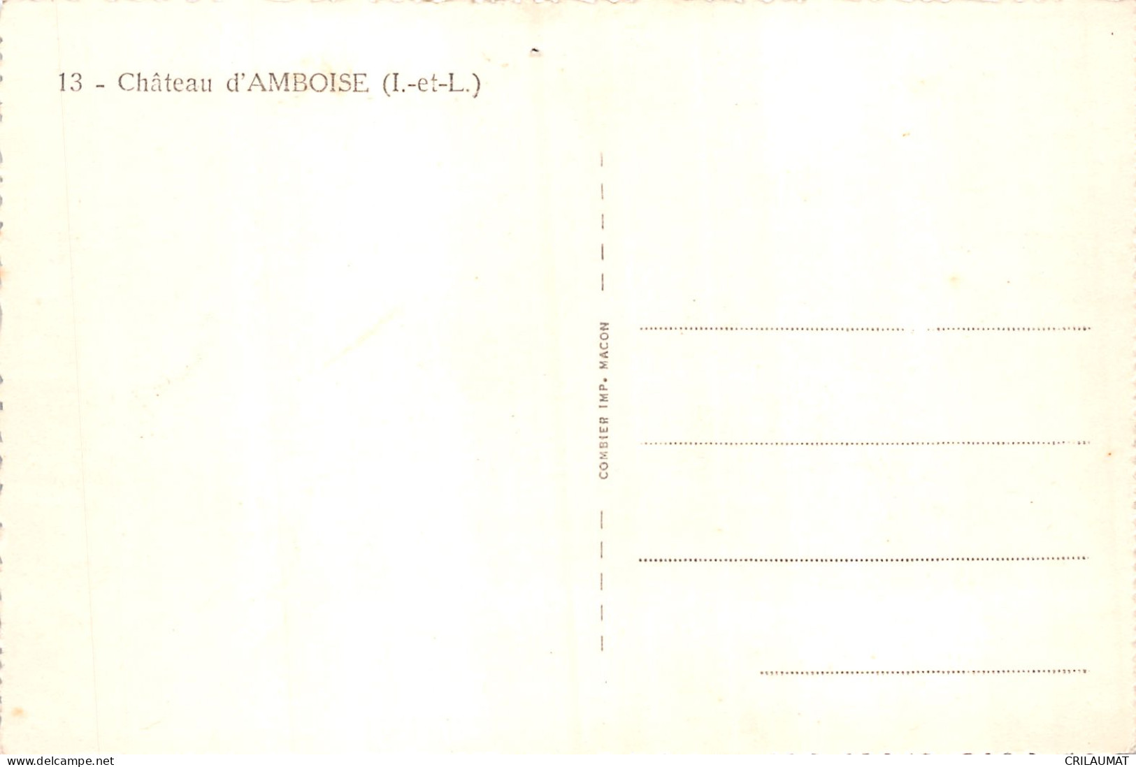 37-AMBOISE-N°5149-A/0043 - Amboise