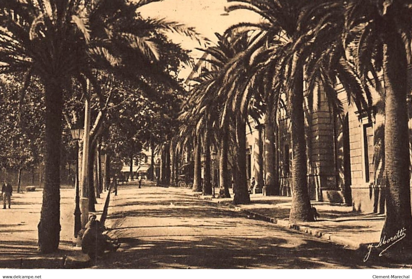 AJACCIO : Avenue Du Premier Consul - Tes Bon Etat - Ajaccio