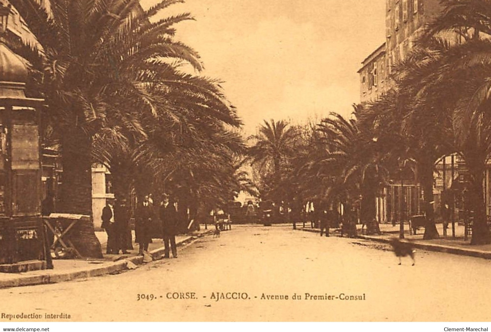 AJACCIO : Avenue Du Premier-consul - Tres Bon Etat - Ajaccio