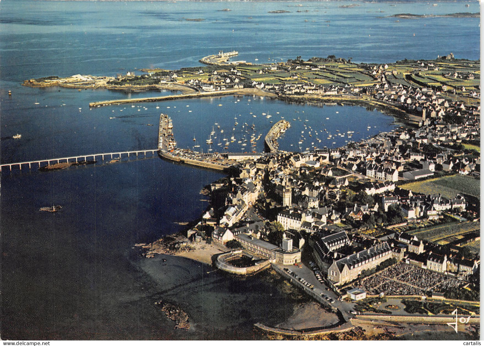 29-ROSCOFF-N°4204-C/0115 - Roscoff