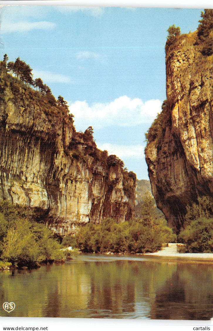 48-GORGES DU TARN-N°4204-B/0395 - Gorges Du Tarn