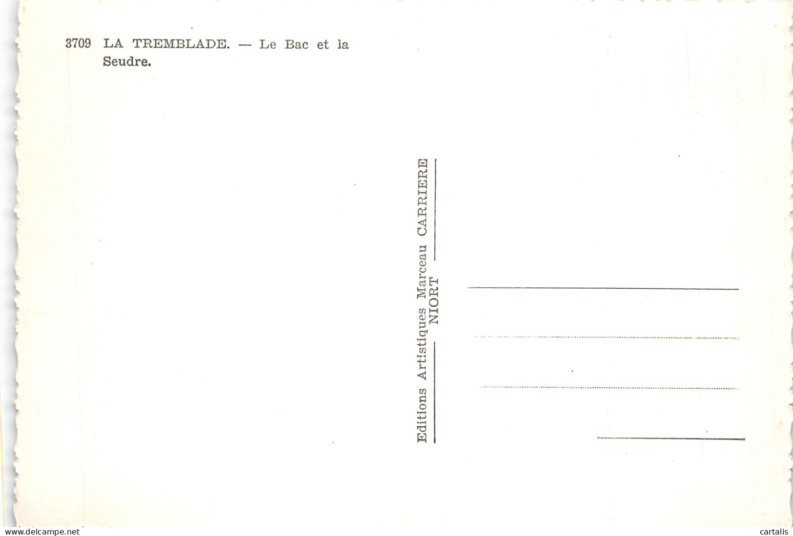 17-LA TREMBLADE-N°4204-B/0167 - La Tremblade