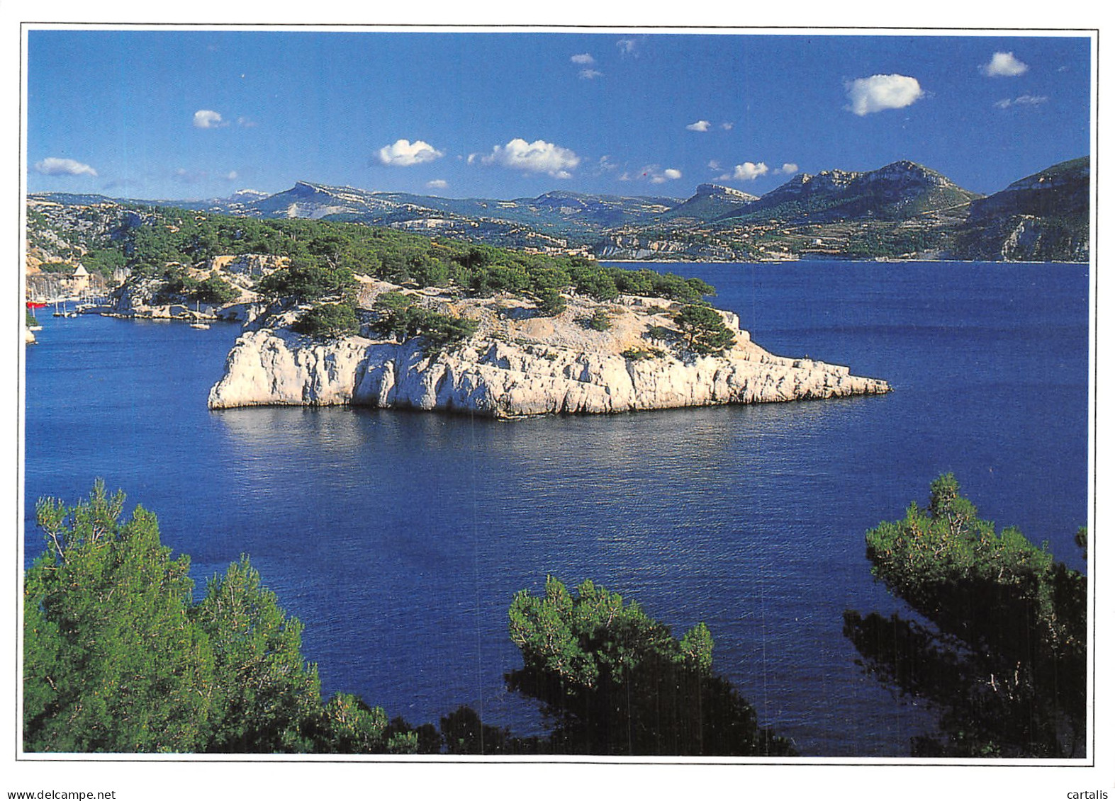 13-CASSIS SUR MER-N°4204-A/0359 - Cassis