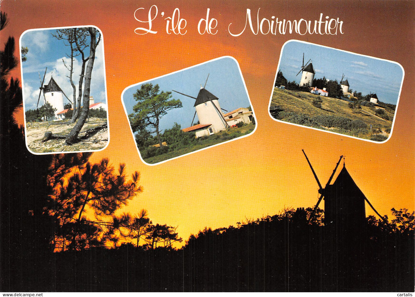 85-NOIRMOUTIER-N°4204-A/0277 - Noirmoutier