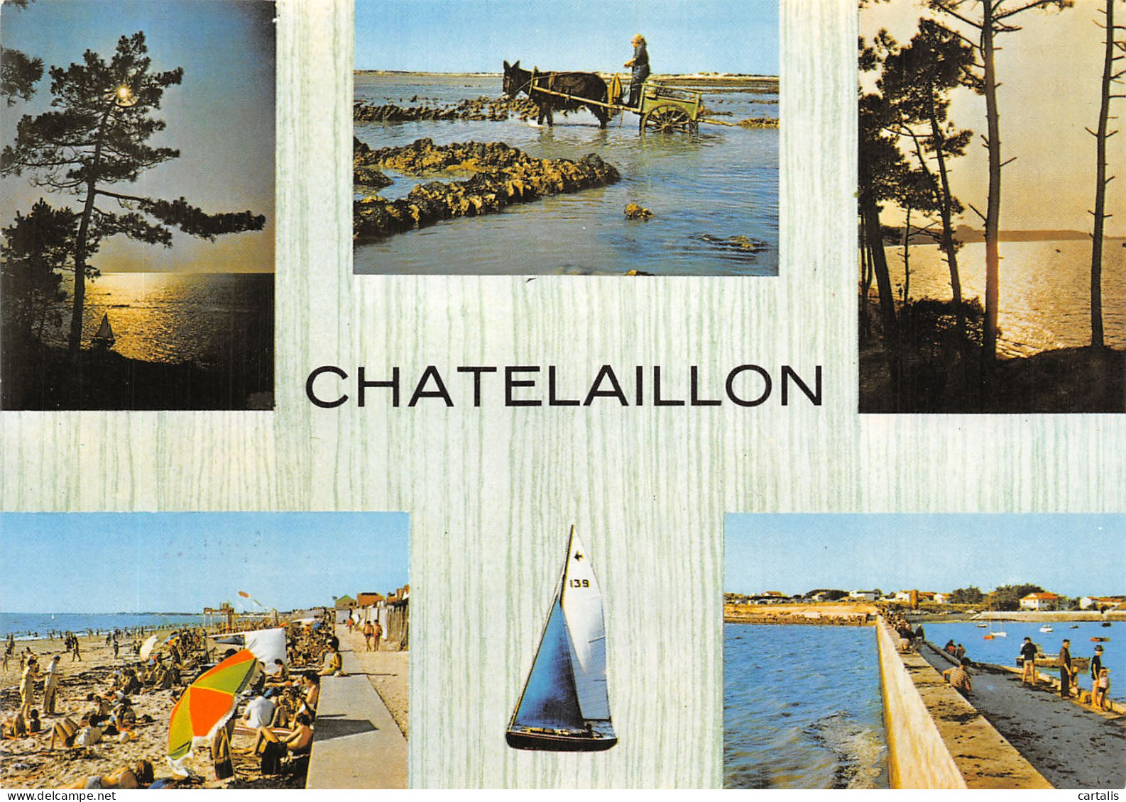 17-CHATELAILLON-N°4204-A/0253 - Châtelaillon-Plage