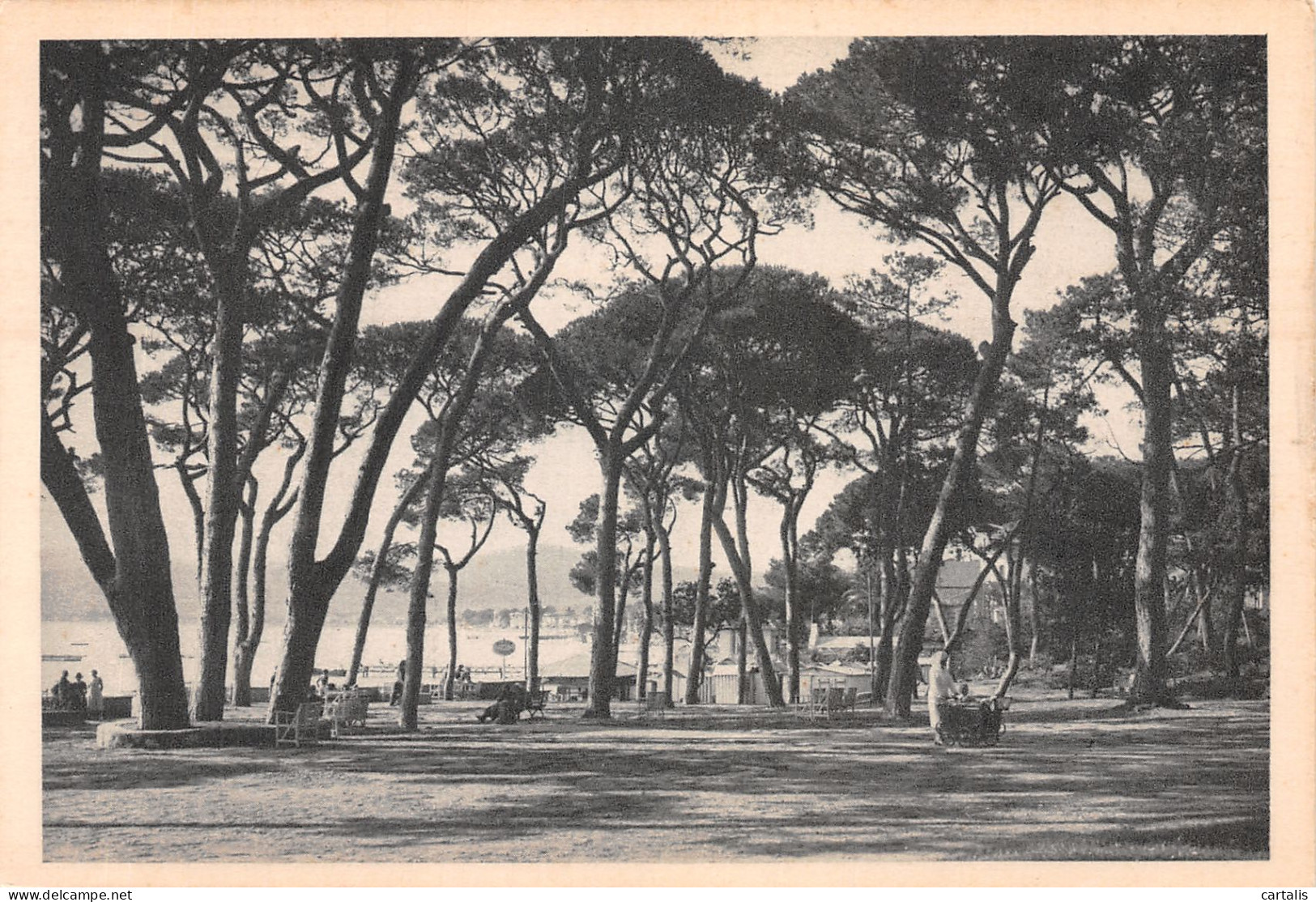 06-JUAN LES PINS-N°4204-A/0107 - Juan-les-Pins