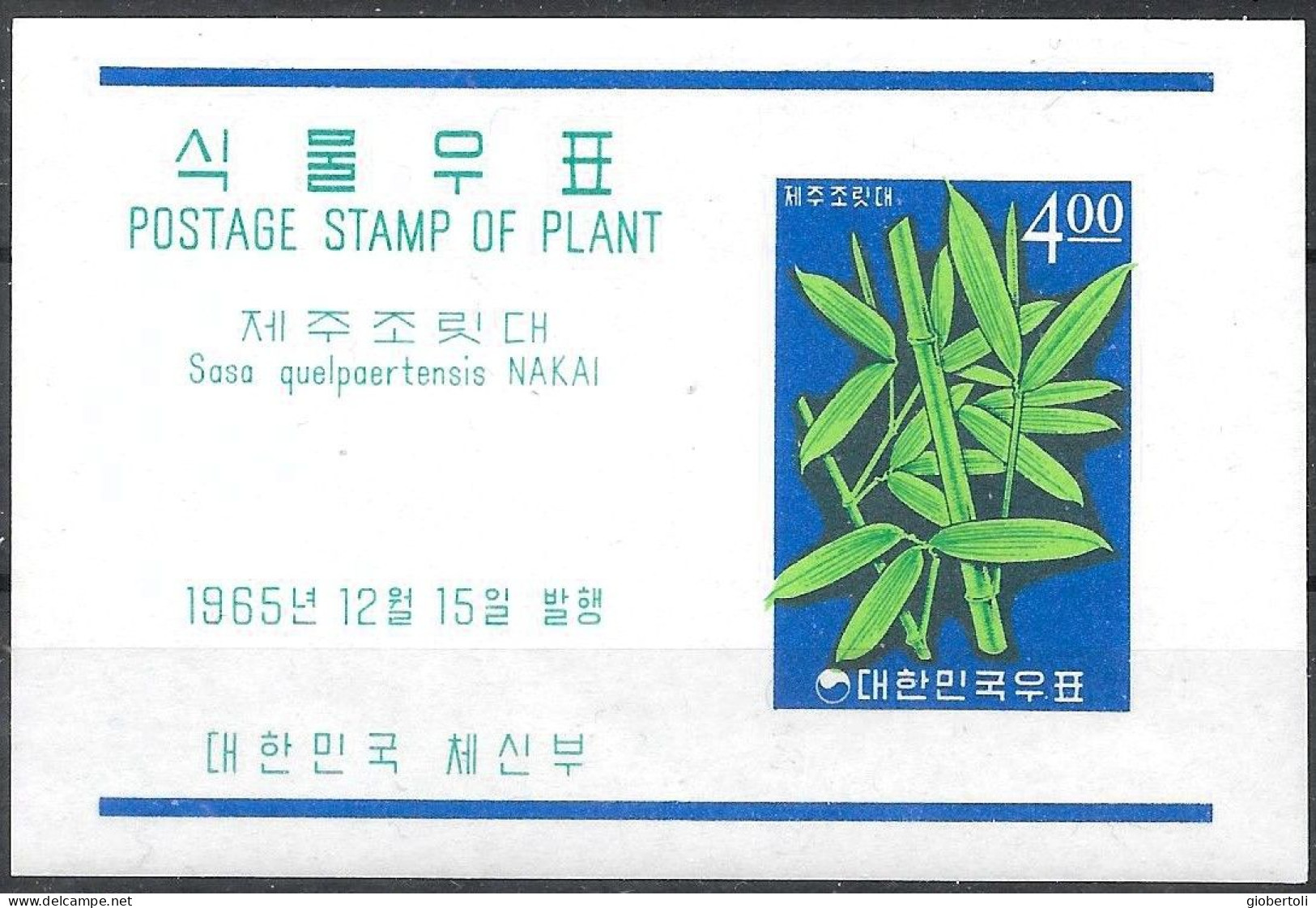 Corea/Korea/Corée: Sasa Quelpaertensis - Geneeskrachtige Planten