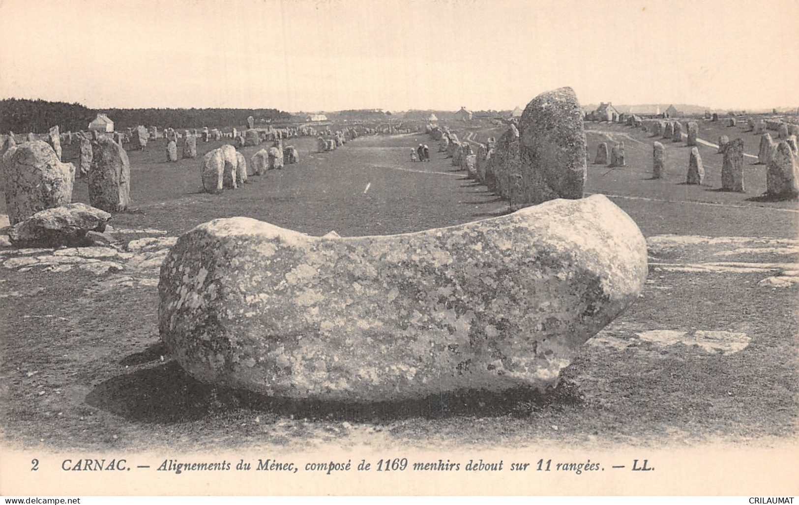 56-CARNAC-N°5149-D/0089 - Carnac