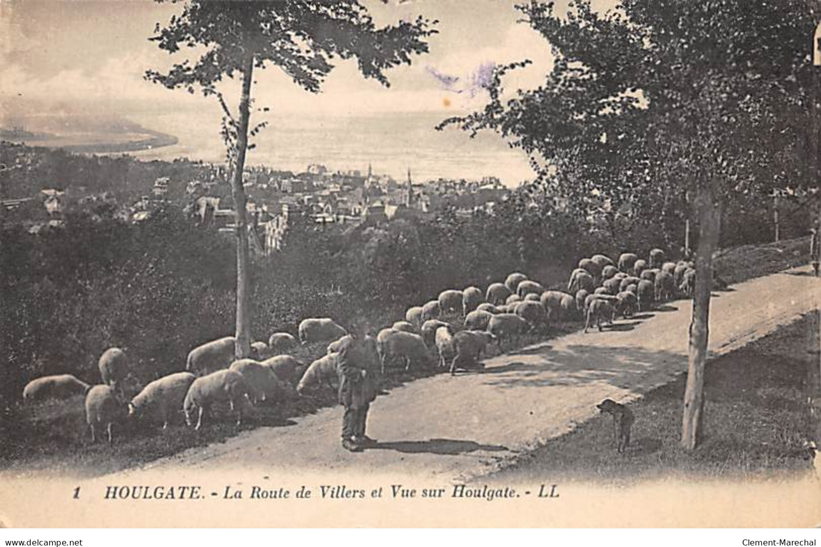 HOULGATE - La Route De Villers Et Vue Sur Houlgate - Très Bon état - Houlgate