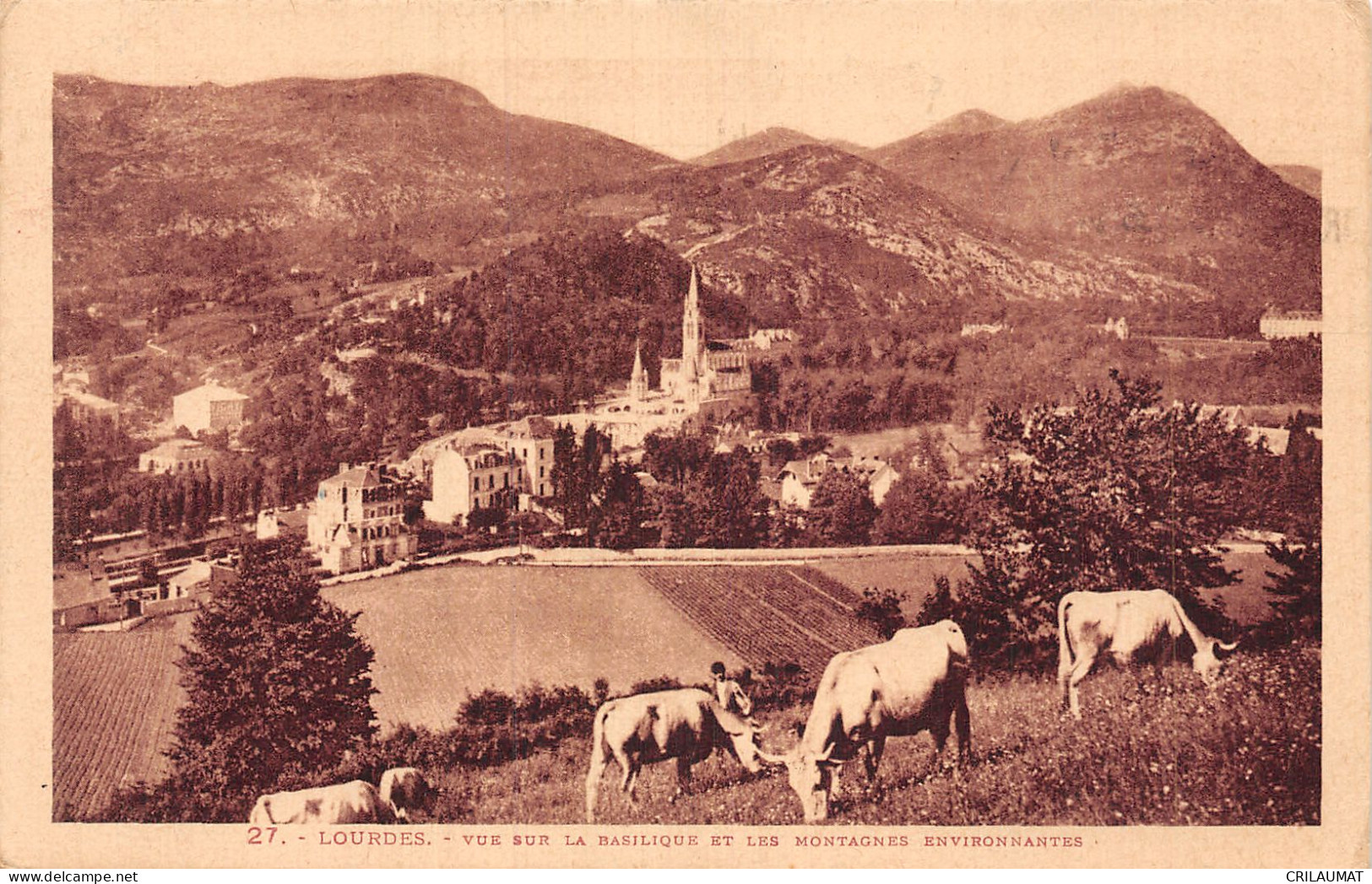 65-LOURDES-N°5149-E/0399 - Lourdes