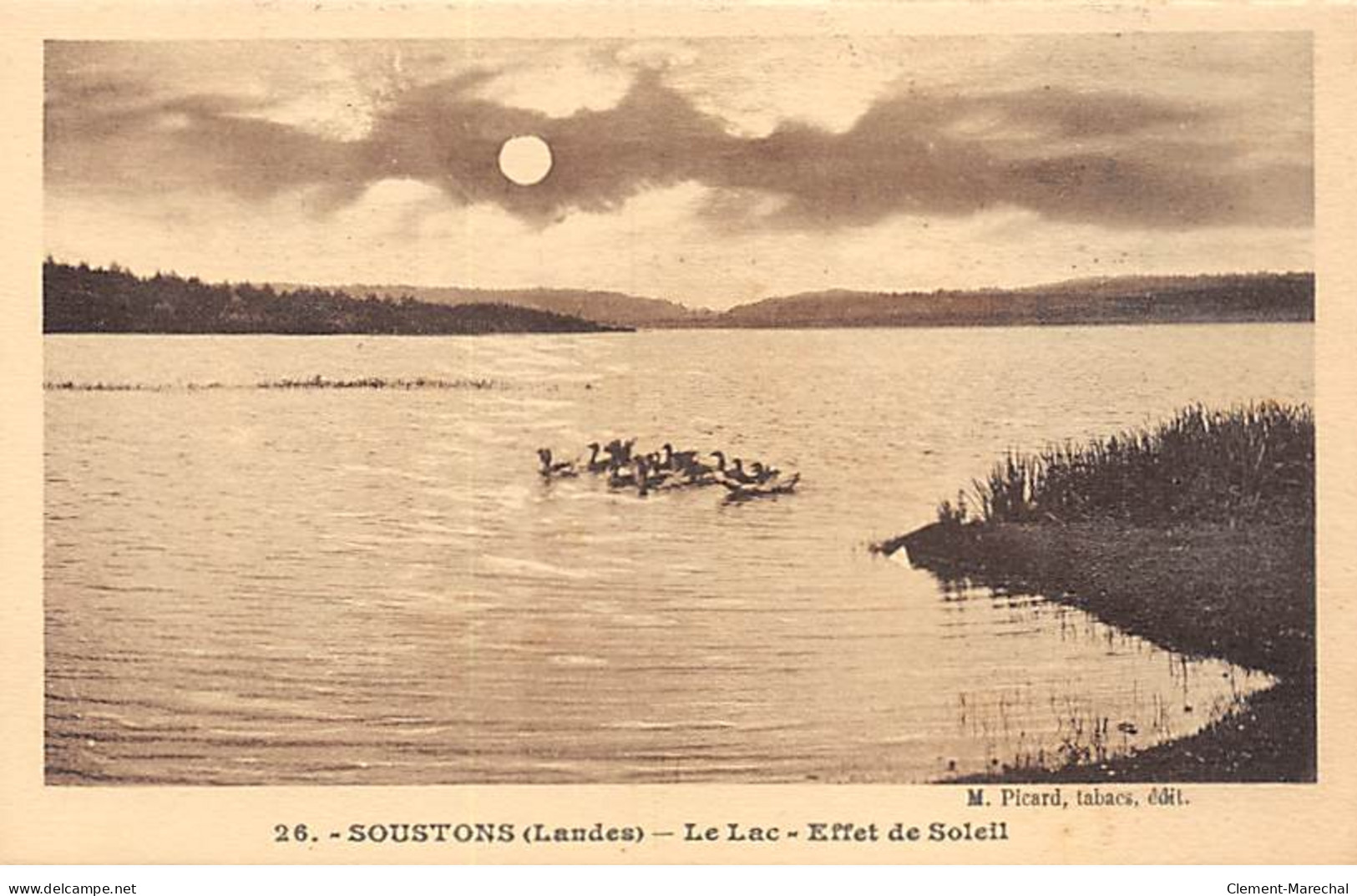 SOUSTONS - Le Lac - Effet De Soleil - Très Bon état - Soustons