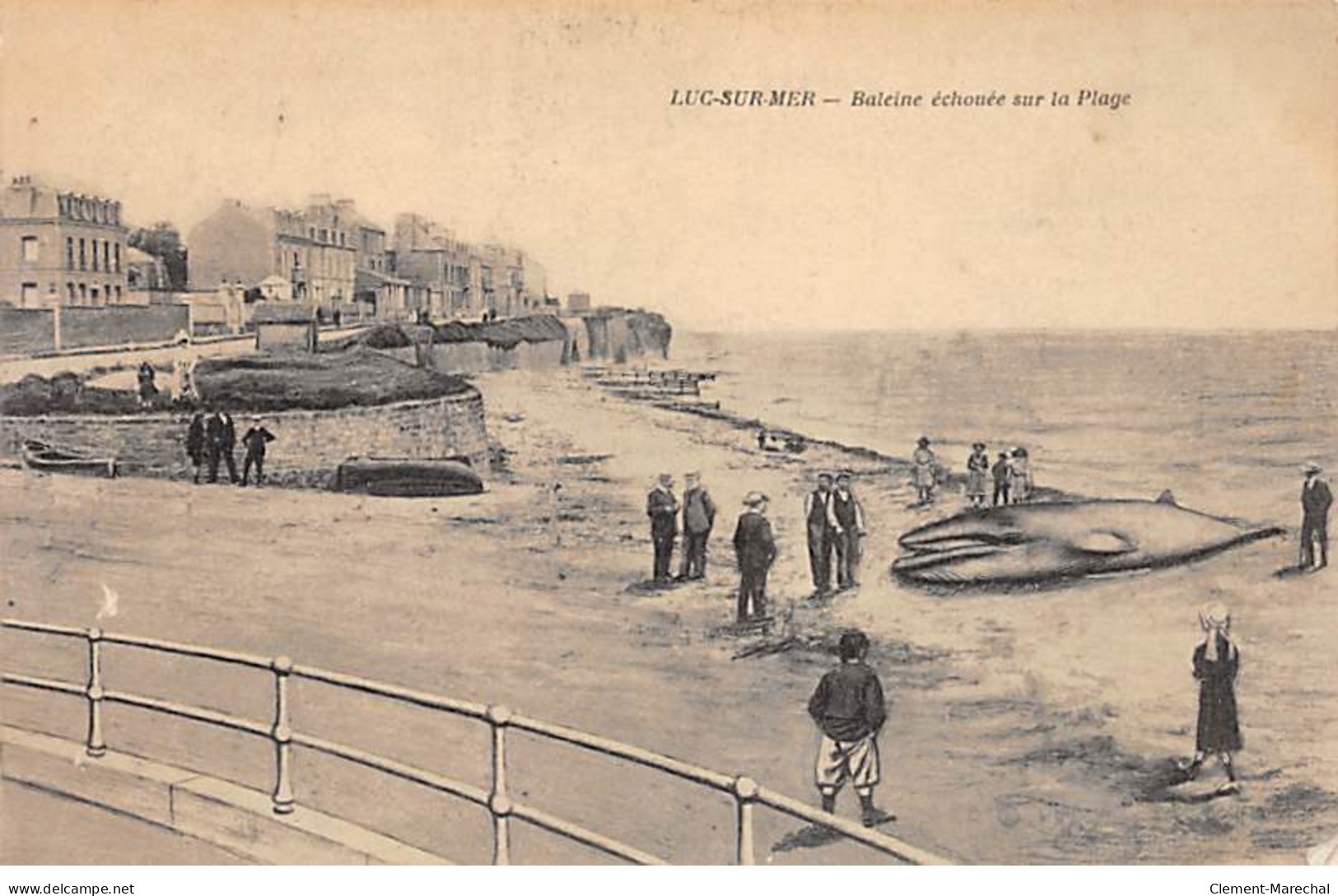 LUC SUR MER - Baleine échouée Sur La Plage - Très Bon état - Luc Sur Mer