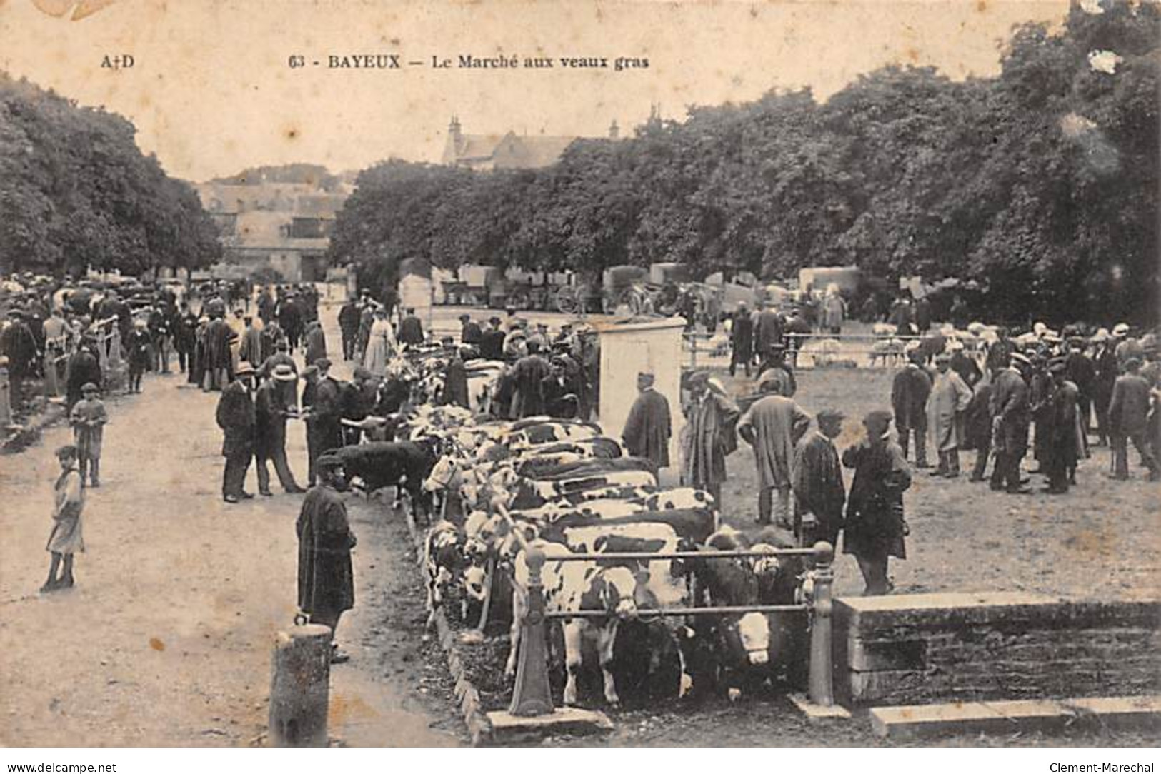 BAYEUX - Le Marché Aux Veaux Gras - Très Bon état - Bayeux