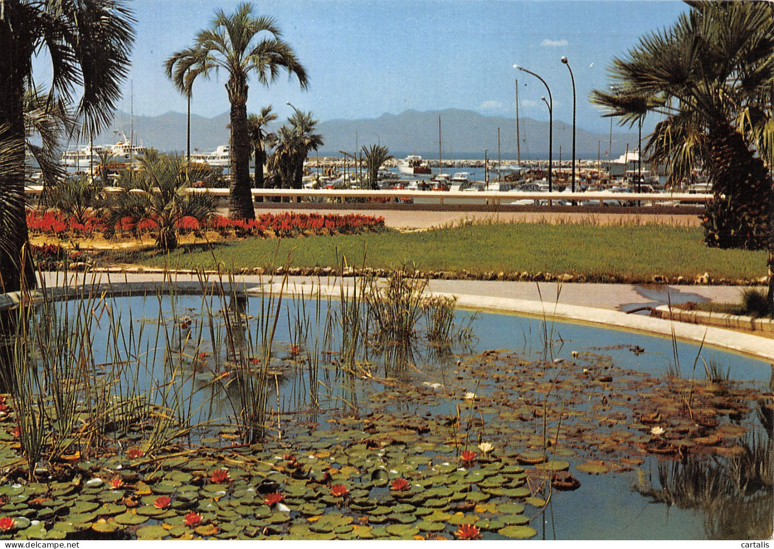 06-CANNES-N°4205-C/0097 - Cannes
