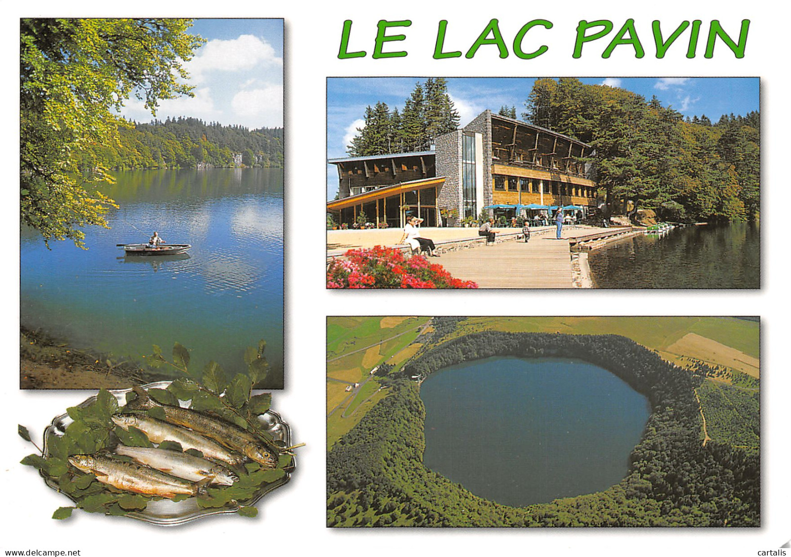 63-LE LAC PAVIN-N°4205-B/0367 - Autres & Non Classés