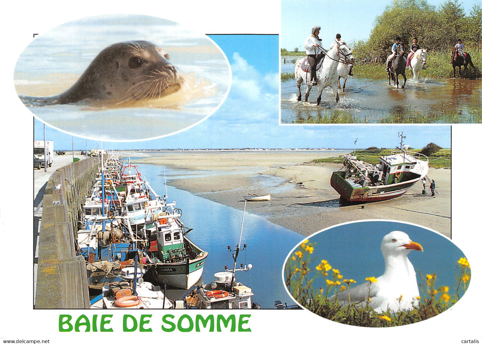 80-BAIE DE SOMME-N°4205-B/0285 - Other & Unclassified