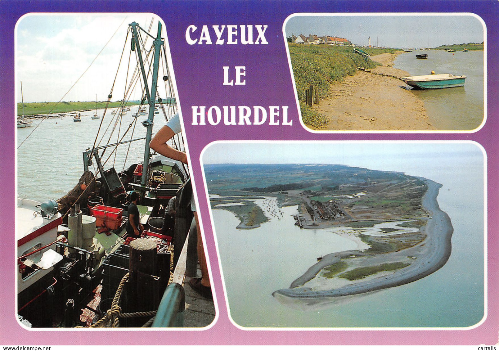 80-CAYEUX SUR MER-N°4205-B/0211 - Cayeux Sur Mer