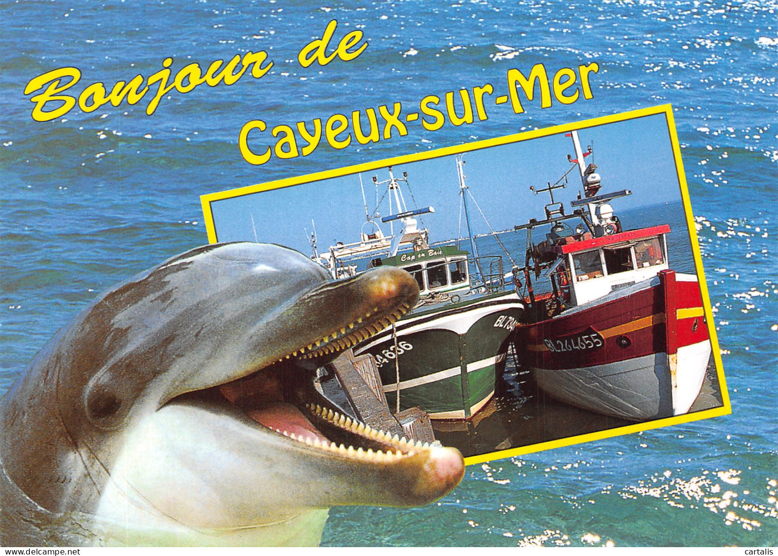 80-CAYEUX SUR MER-N°4205-B/0175 - Cayeux Sur Mer