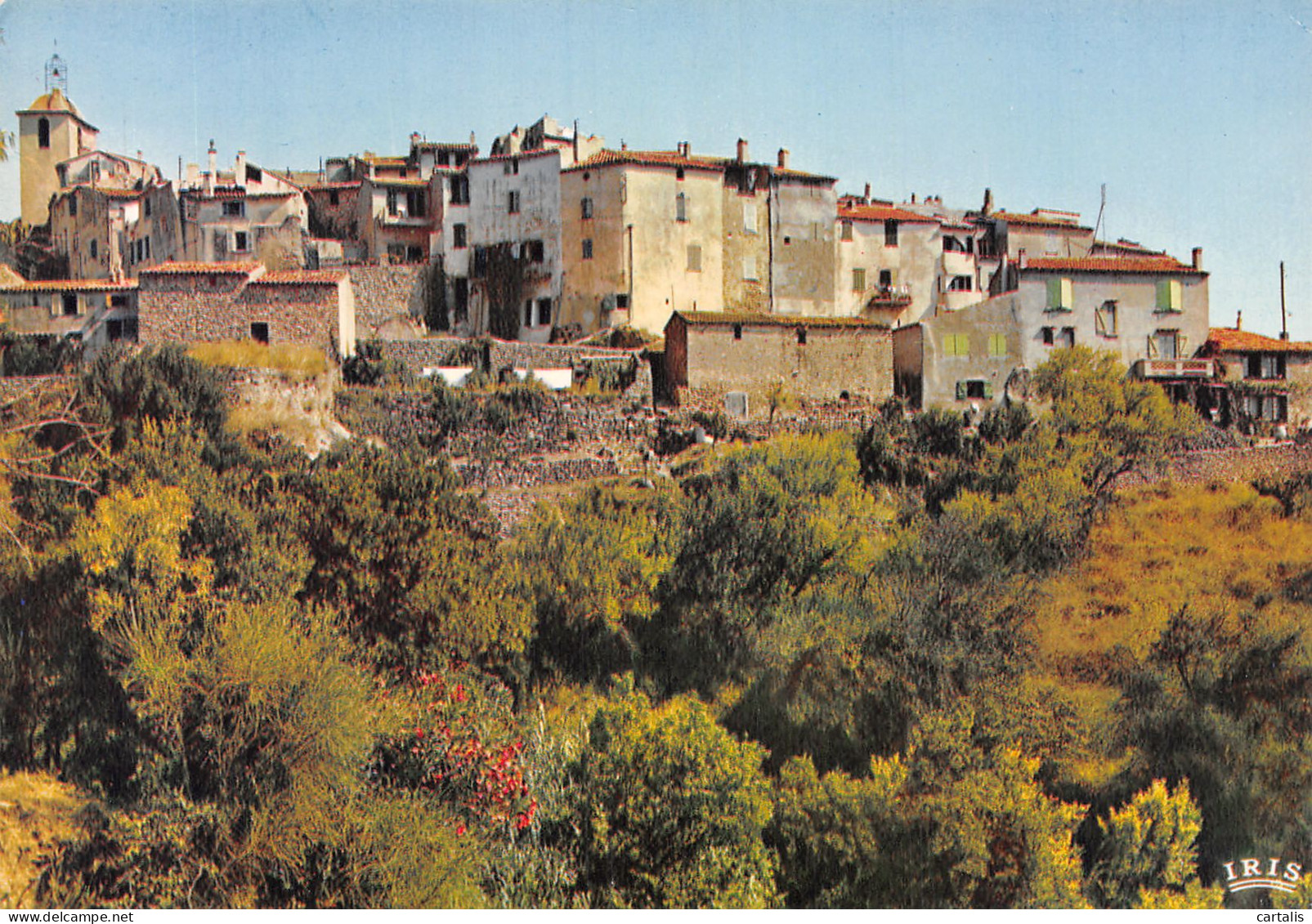 83-RAMATUELLE-N°4205-B/0017 - Ramatuelle