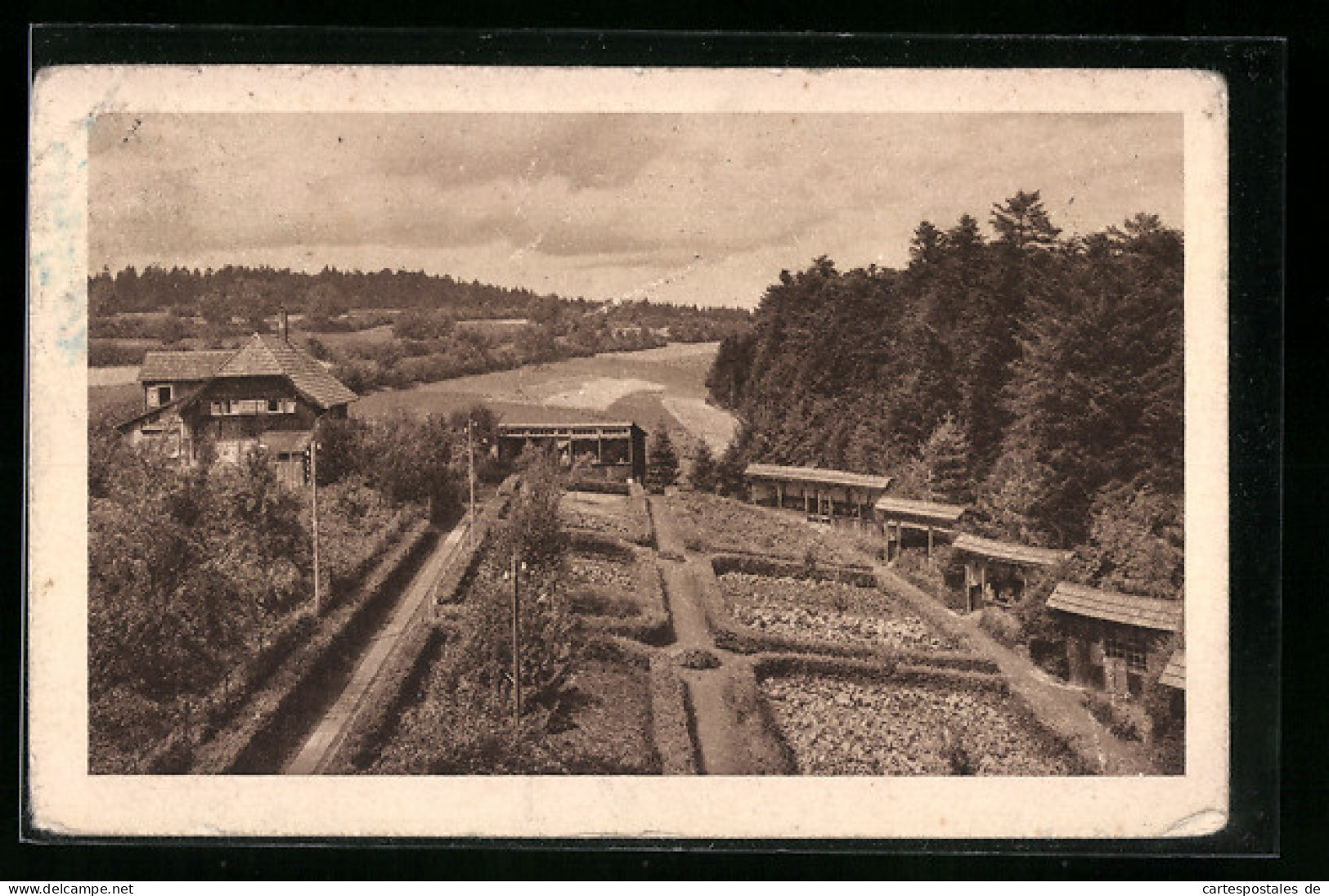 AK Bad Liebenzell, Burghalde, Erholungsheim Mit Landschaftsblick  - Sonstige & Ohne Zuordnung