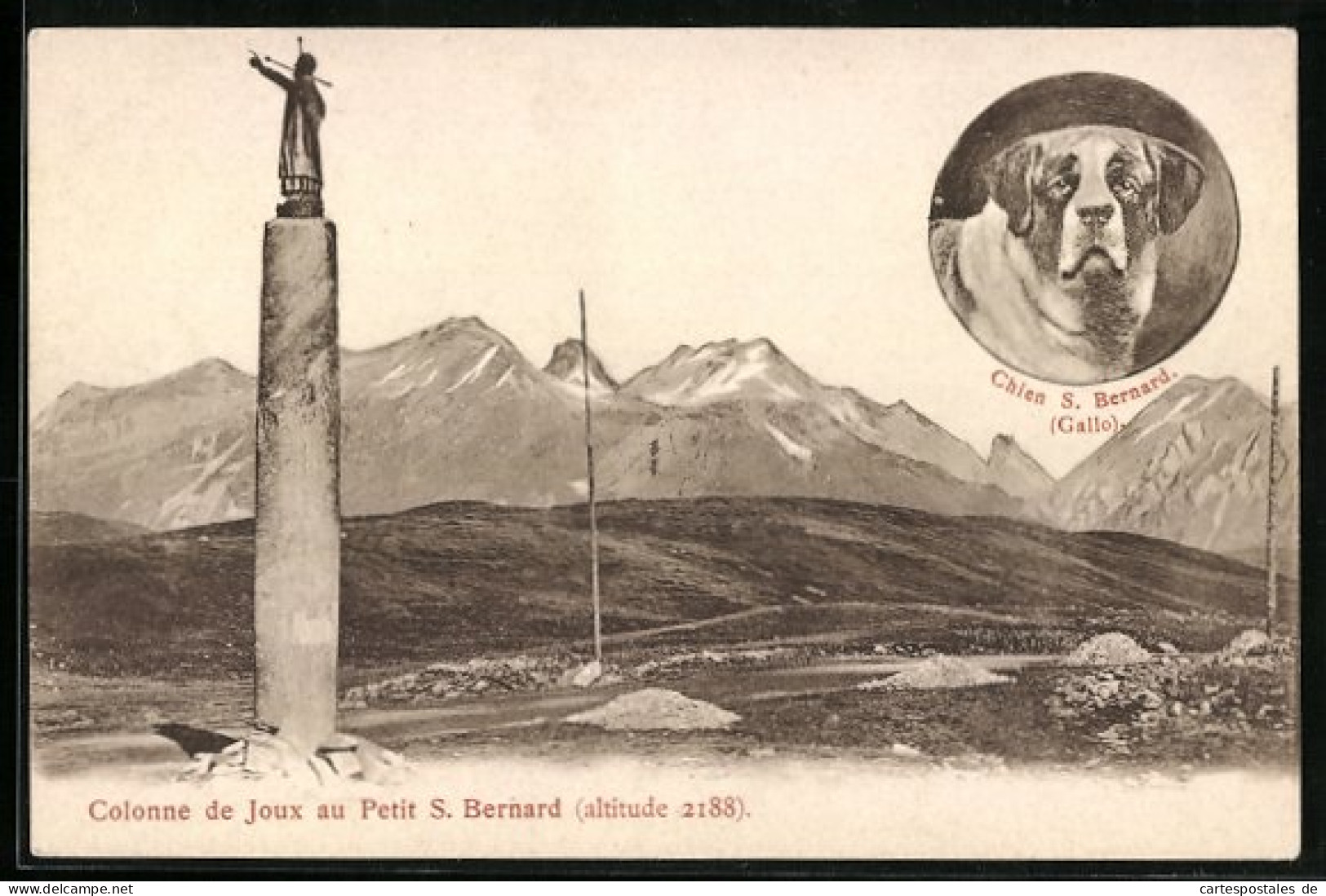 Cartolina Petit S. Bernard, Colonne De Joux, Chien S. Bernard  - Autres & Non Classés